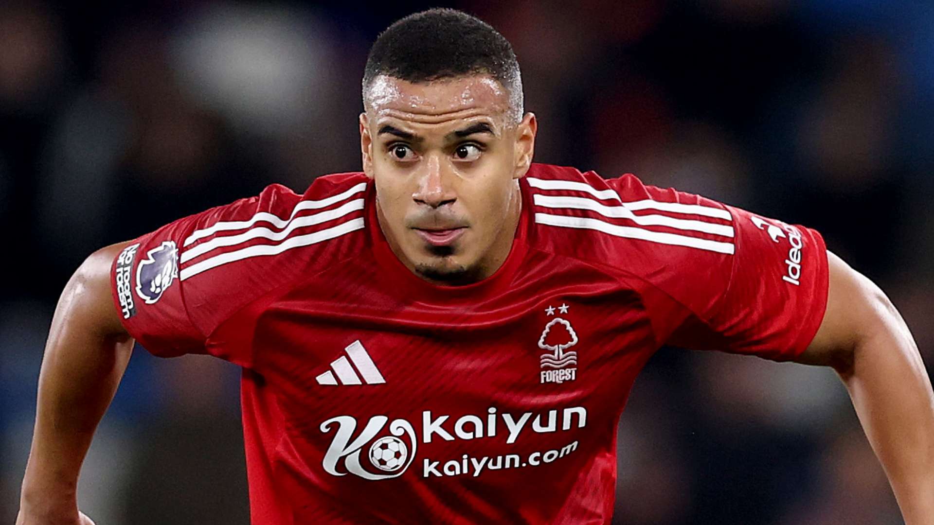 案例分析 案例分析