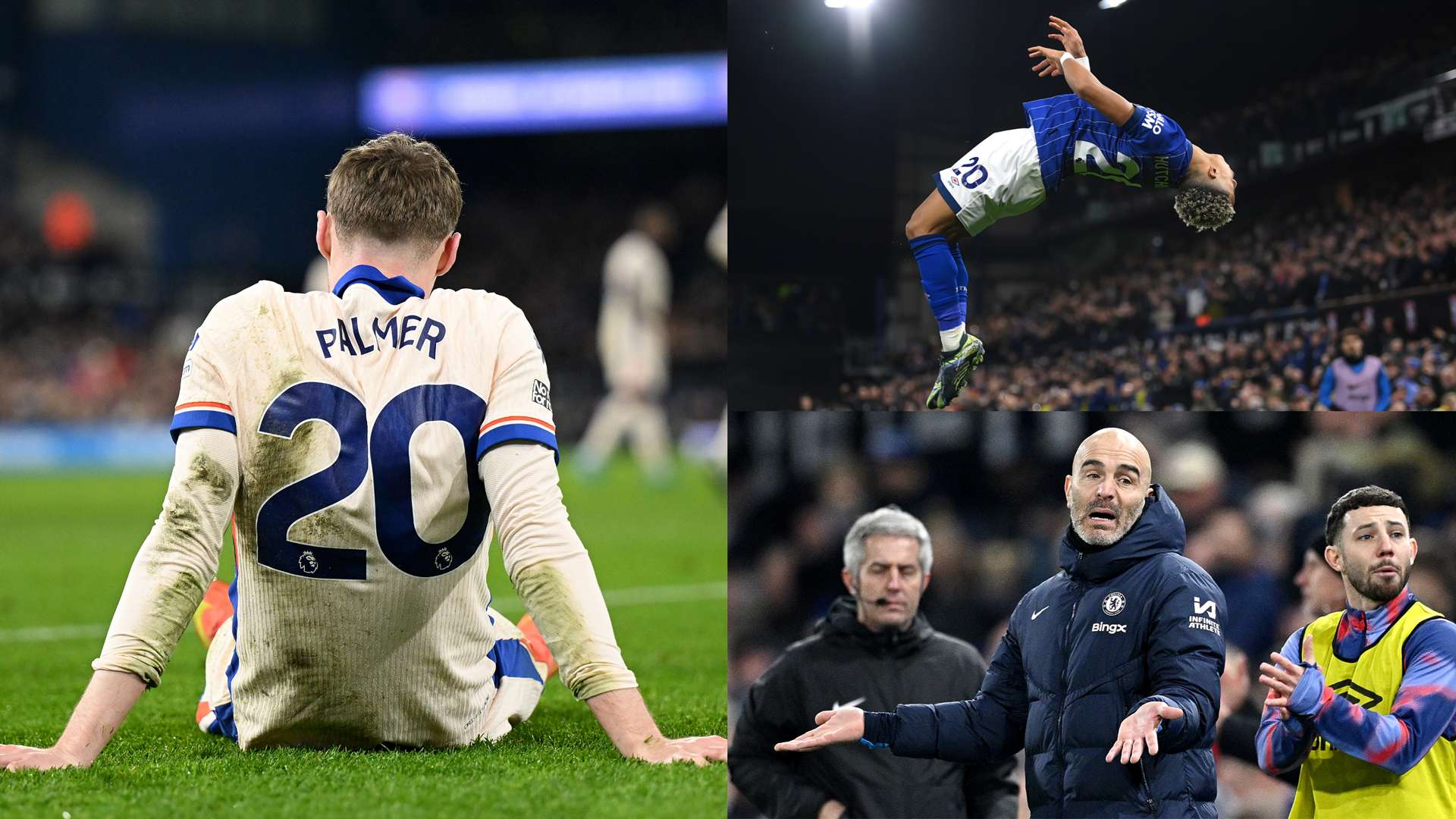 很可能会被 很可能会被